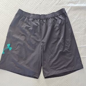 Under Armour Gray Men's Shorts